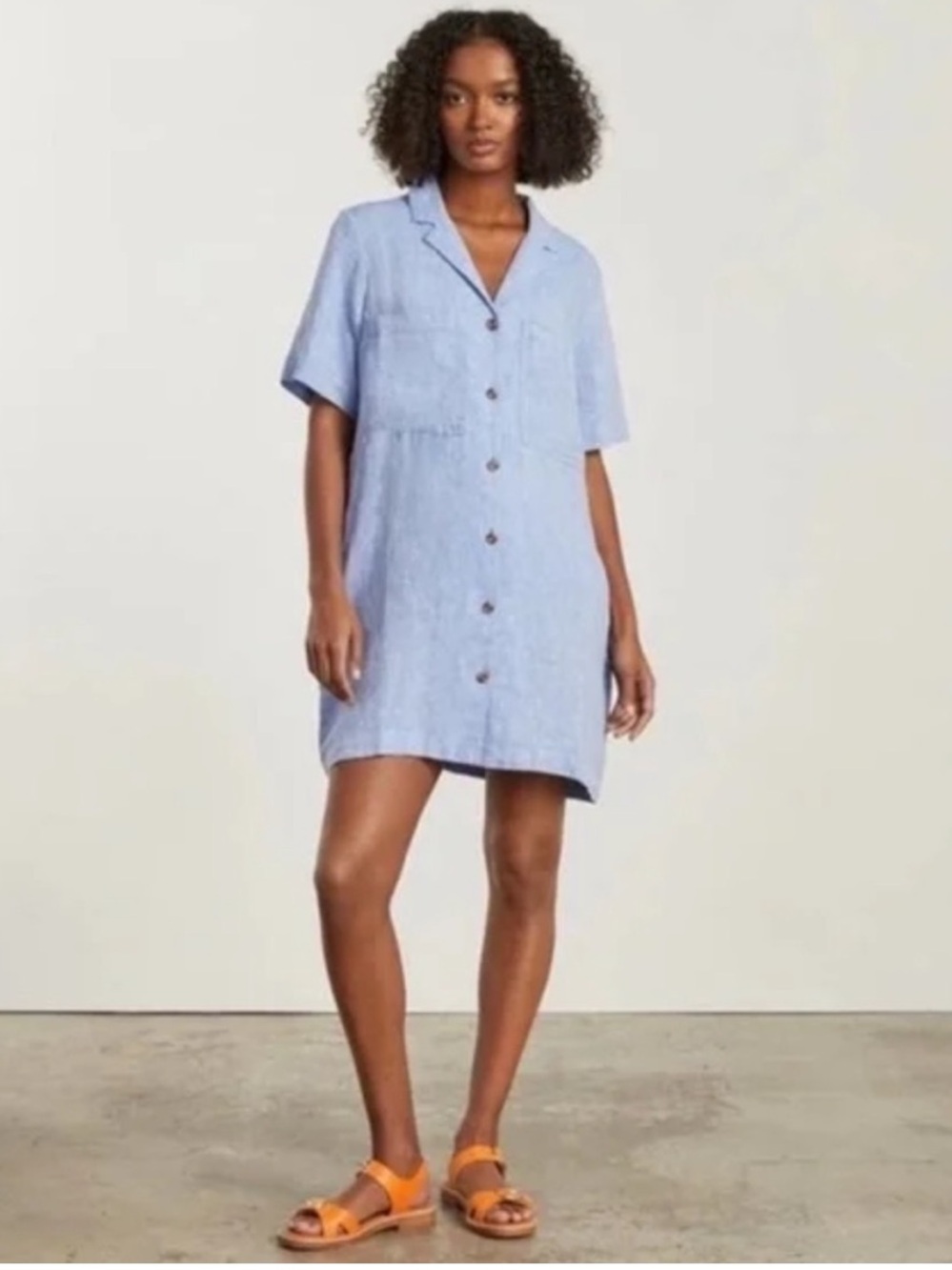 EVERLANE The Shirtdress in Blue Linen